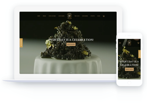 Web Development Package Example: Imperiacaviar