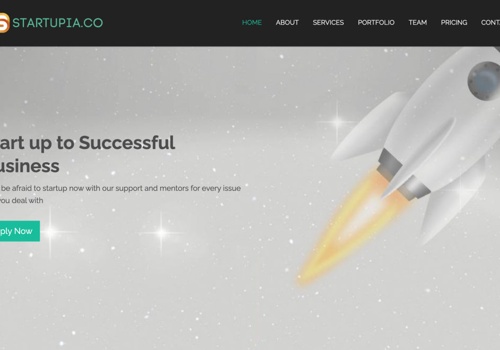 IT Strategy Consulting Package Example: Startup Support Platform website