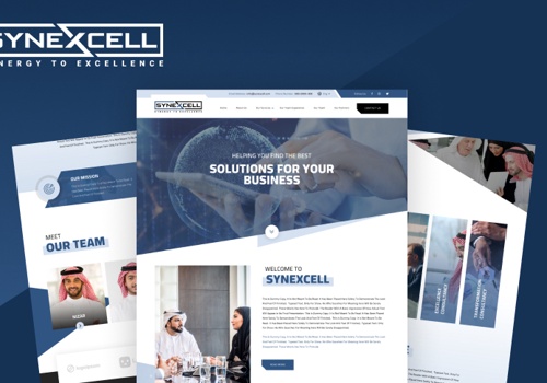 Branding Package Example: Synexcell