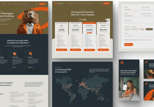 Web Design Package Example: The Beavers – brand identity and web design