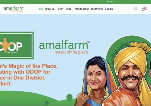 Mobile App Development Package Example: Geotagging Solution for Amalfarm