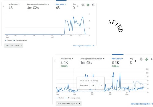 Search Engine Optimization Package Example: Monthly Basis- SEO service to increase traffic