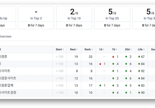 Digital Strategy Package Example: Increased Organic Traffic by 5X in 3 Months