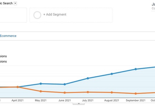 Search Engine Optimization Package Example: 100% Growth in Organic Traffic