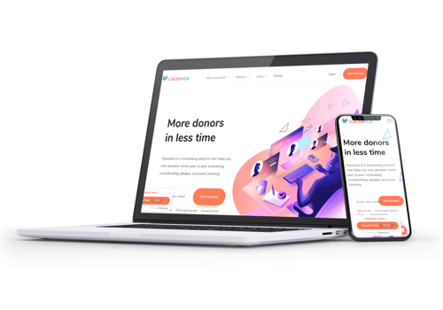 Web Development Package Example: Design & Development: Digital Fundraising Platform