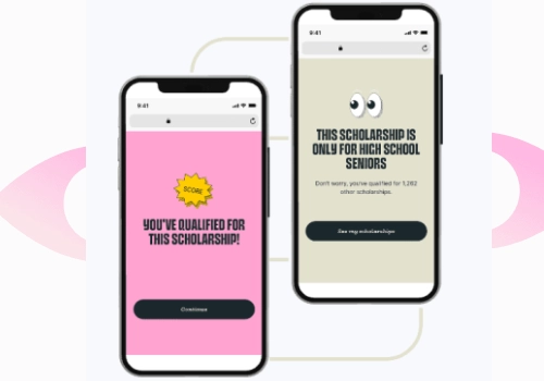 CRM Consulting and SI Package Example: Scholarship Management platform