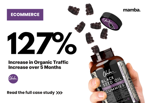 Search Engine Optimization Package Example: SEO Building From Scratch - End-to-End