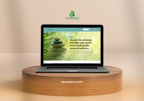 Search Engine Optimization Package Example: Ayureshmi – Authentic Ayurveda Wellness & Panchaka