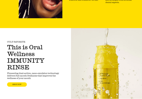 E-Commerce Development Package Example: Smile Twice