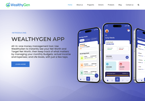 Web Design Package Example: Expense manger website and mobile application