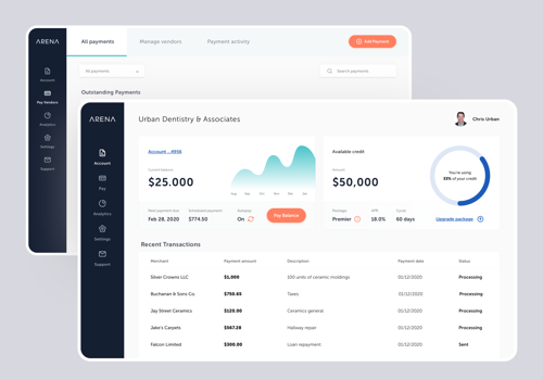UX/UI Design Package Example: Arena Pay