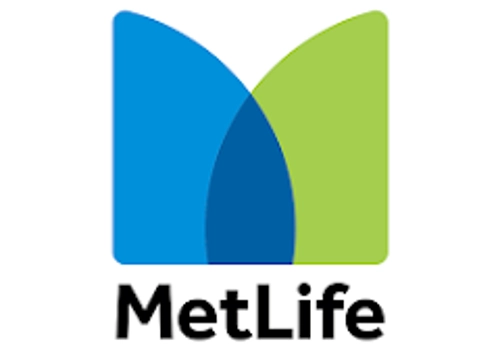 Search Engine Optimization Package Example: MetLife SEO