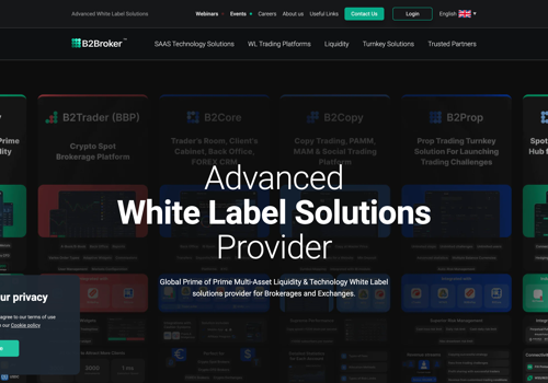 Search Engine Optimization Package Example: Crypto Liquidity Provider Broker Bulk Backlinks