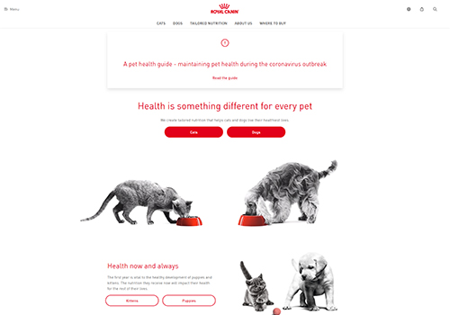 Web Development Package Example: Royal Canin
