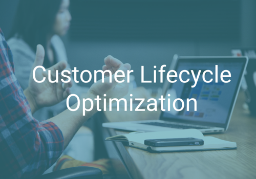 CRM Consulting and SI Package Example: Customer Lifecycle Rebuild and Optimization