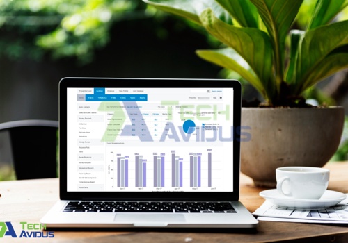 Custom Software Development Package Example: Property Survey Application