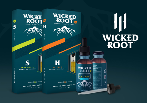 Branding Package Example: Wicked Root Branding & Packaging