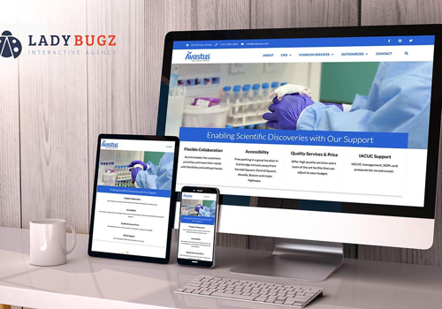 Web Design Package Example: Website Design for Biotechnology Industry