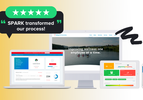 Custom Software Development Package Example: Health Provider Revolutionizes Client Experience