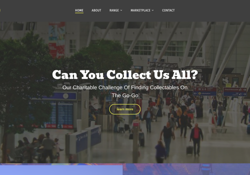 Web Design Package Example: Website Created for International Charity