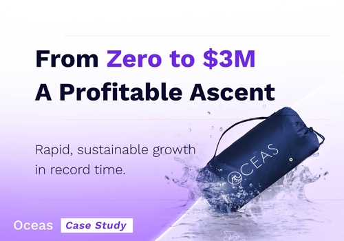 Digital Strategy Package Example: From $0 to $3M with Market-Leading Profitability