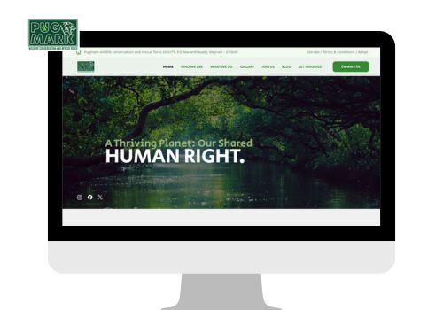 Web Design Package Example: PugmarkWildlife:Championing Conservation & Tourism