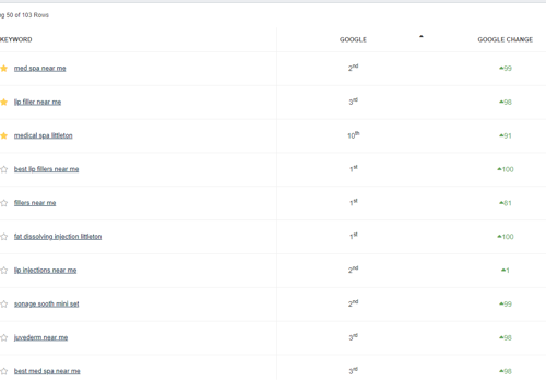 Search Engine Optimization Package Example: 1st Page Rankings for Liv & Lo Med Spa