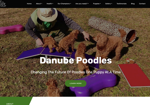 Web Development Package Example: Danube Poodles Modern Website with Blog