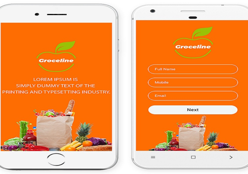 Mobile App Development Package Example: Grocery Delivery App