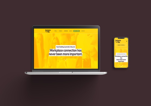 Custom Software Development Package Example: WordPress Website Development