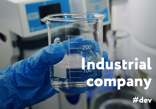 Web Development Package Example: Website development | An industrial company