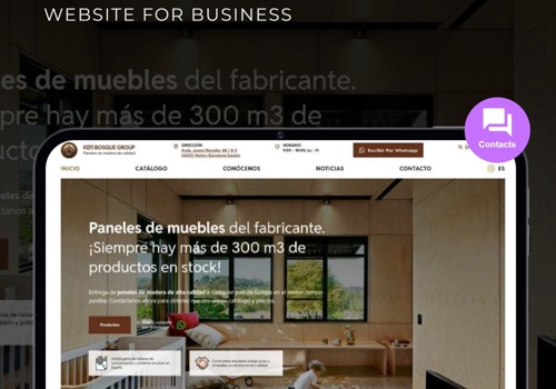 Web Design Package Example: Kefi Bosque Group Business Website