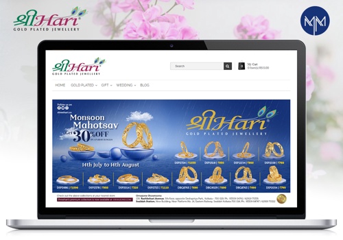Web Development Package Example: Shree Hari - eCommerce Website