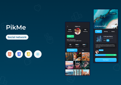 IT Strategy Consulting Package Example: Social Network