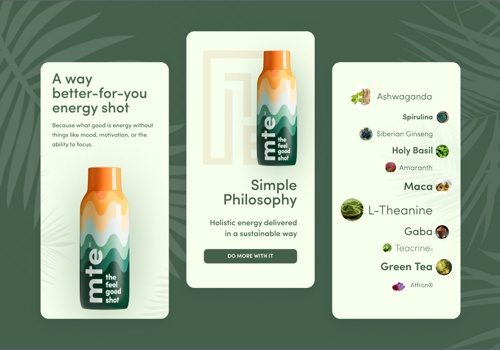 E-Commerce Development Package Example: More Than Energy eCommerce