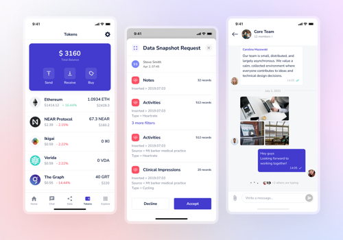 UX/UI Design Package Example: Verida / Blockchain data wallet network