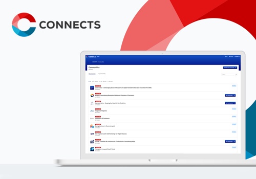 Custom Software Development Package Example: Connects