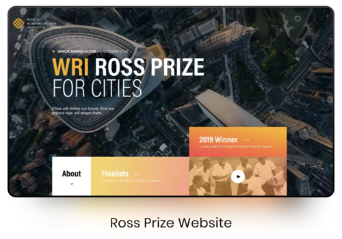 Web Design Package Example: WRI