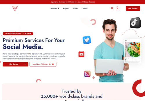 Web Development Package Example: Social Blizzards