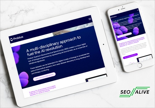 Search Engine Optimization Package Example: Probius Website Design & Development
