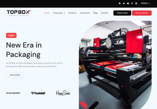 Advertising Package Example: All design management (Web and Banner Design etc.)