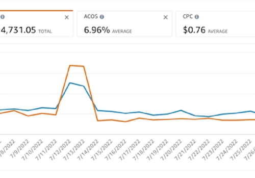 Product Marketing Package Example: 8-Figure Brand Expansion