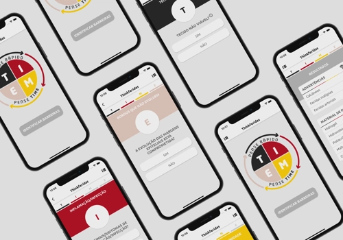 Web Development Package Example: Wound naming mobile app