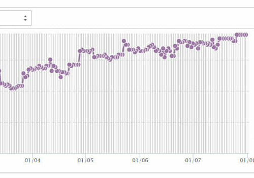 Search Engine Optimization Package Example: Client SEO Results