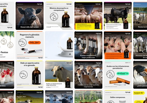 Social Media Marketing Package Example: Agrovet