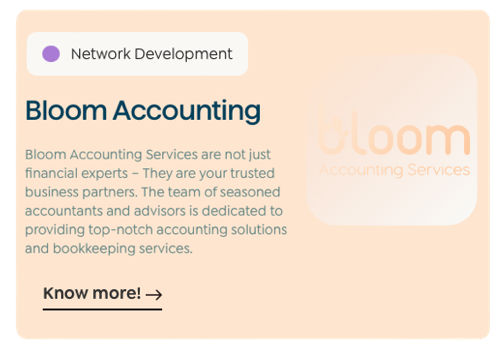 Sales Outsourcing Package Example: Bloom  Accounting: Case Studies of Success