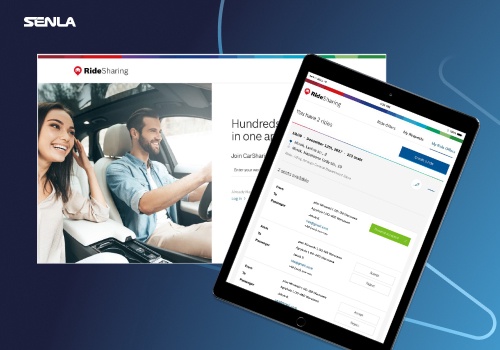 IT Managed Services Package Example: Ride sharing system