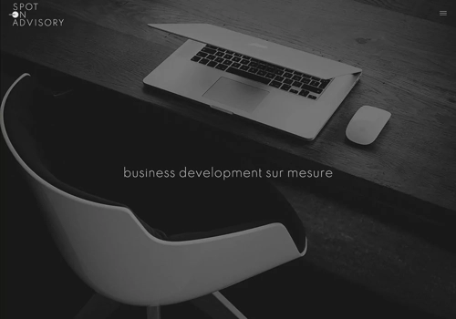 Graphic Design Package Example: Website of Spot-on Advisory