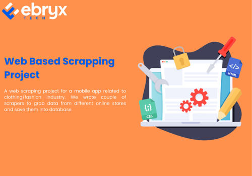 IT Strategy Consulting Package Example: Web Based Scrapping Project
