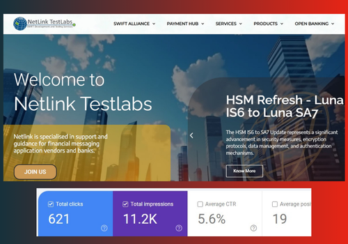 Search Engine Optimization Package Example: Website Development & SEO for Netlink Testlabs